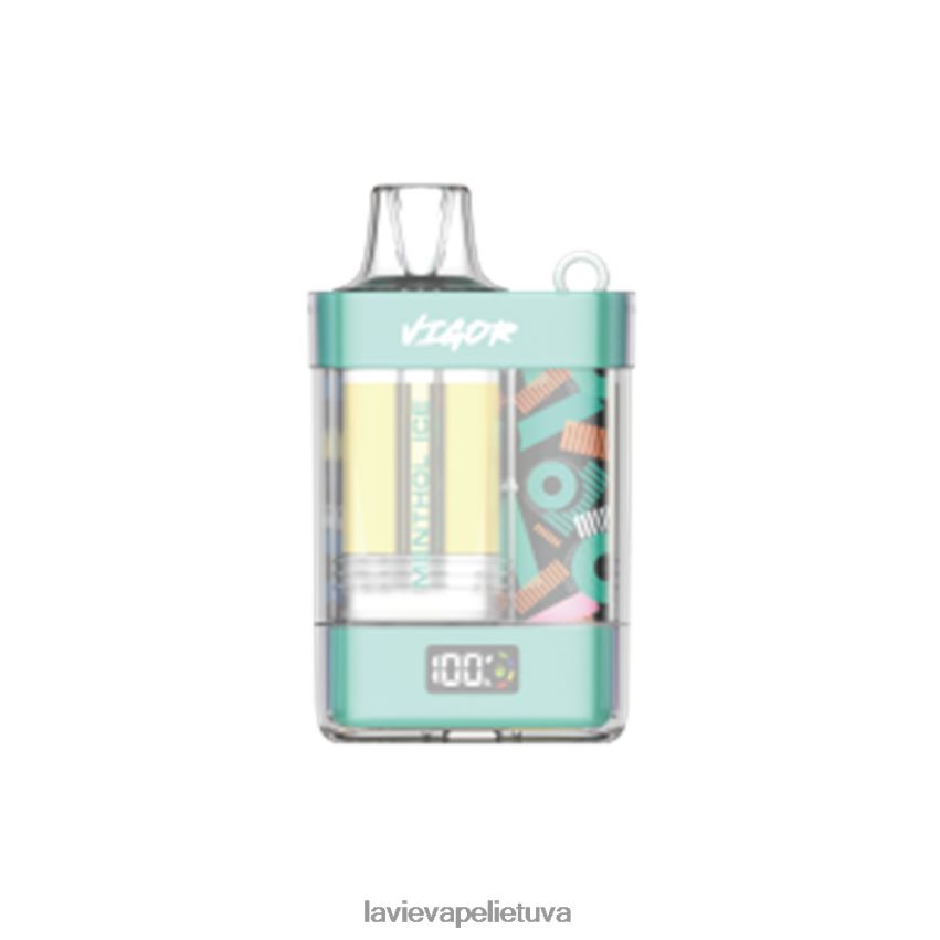 N226RV2 Lavie Vape Reddit | mentolio ledas LAVIE VIGOR 15 000 įkvėpimų